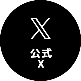 公式X
