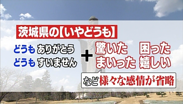 茨城県民の いや どうも が万能すぎて 使い方が全然見えない件について 秘密のケンミンshow ニュース テレビドガッチ