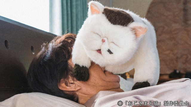 草刈正雄 神田 の顔面に猫のふくまるが 幸せシーンにキュン おじさまと猫 ニュース テレビドガッチ